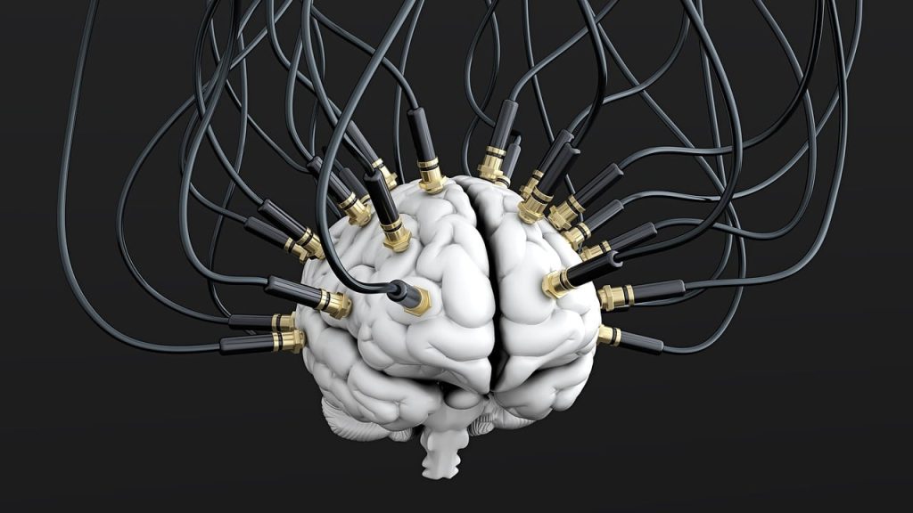 Neuroplasticité