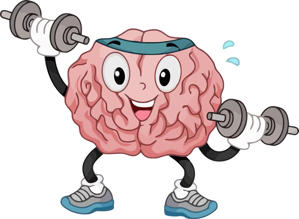 Cerveau